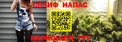 mdpv Заводоуковск