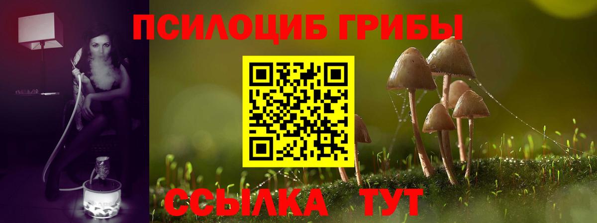 Псилоцибиновые грибы Psilocybine cubensis  Вход с VPN  Карабулак  Галлюциногенные грибы GOLDEN TEACHER 
